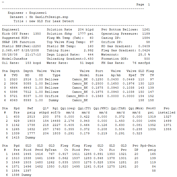 Sample gas-lift setup report